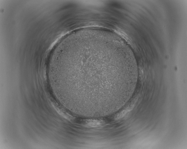 X0000070410347200606091157