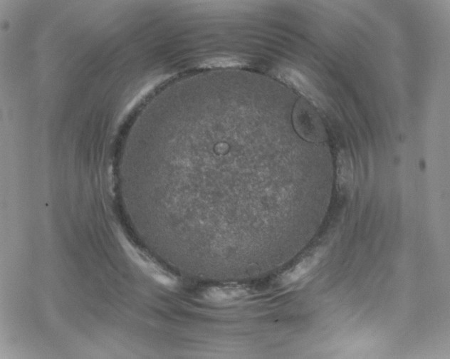 X0000070410351200606091157