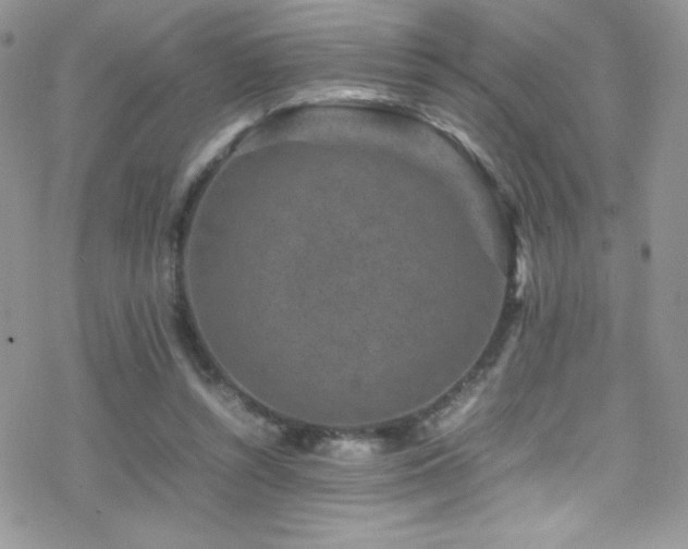 X0000070410352200606091157