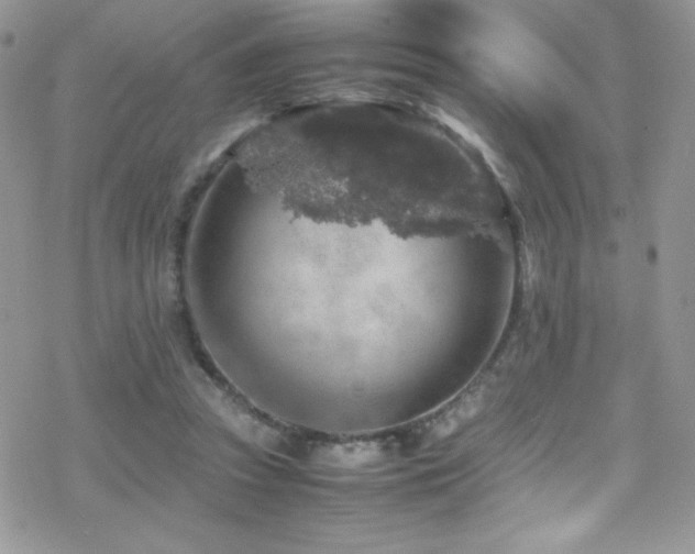 X0000070410353200606091157