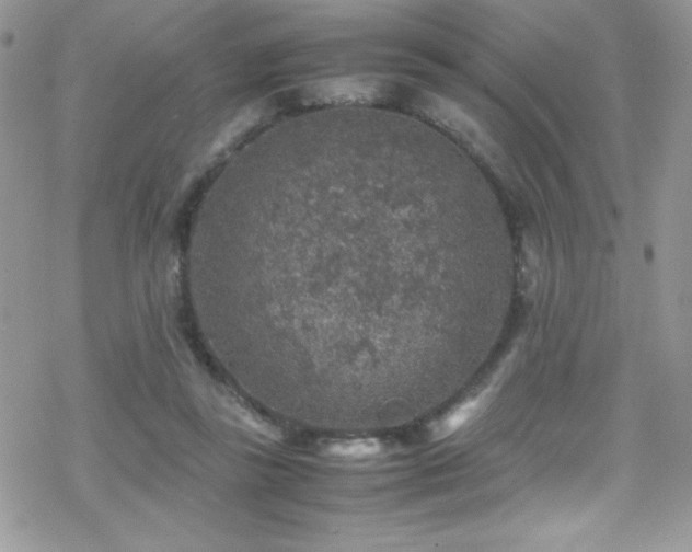 X0000070410355200606091157