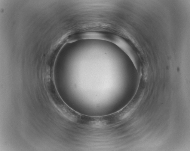 X0000070410356200606091157