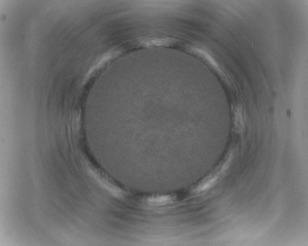 X0000070410357200606091157