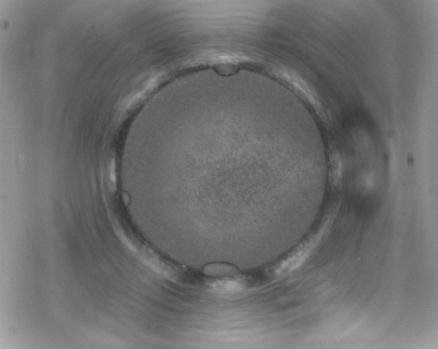 X0000070410358200606091157