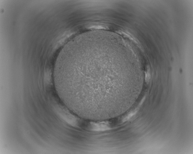 X0000070410359200606091157