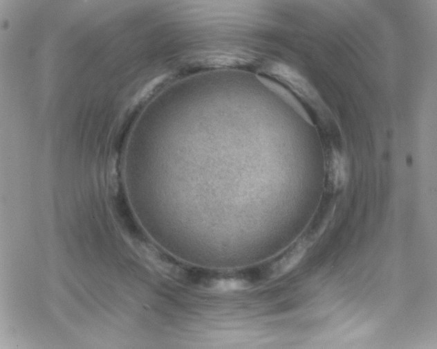 X0000070410360200606091157