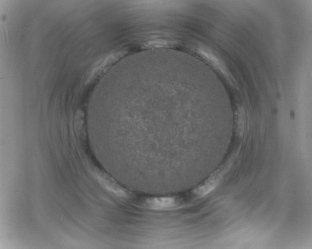 X0000070410361200606091157