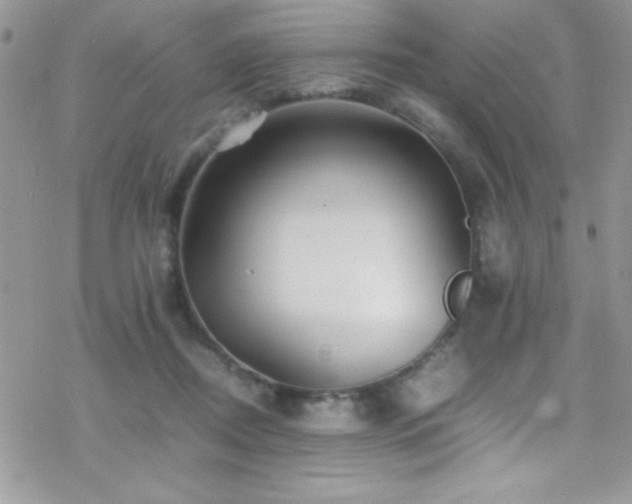 X0000070410362200606091157