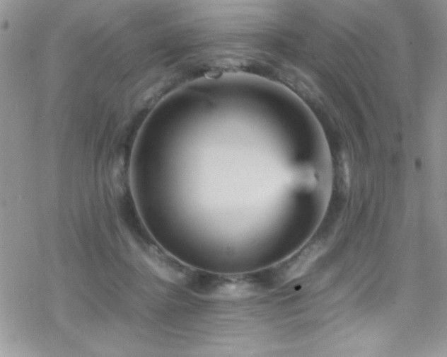 X0000070410364200606091157