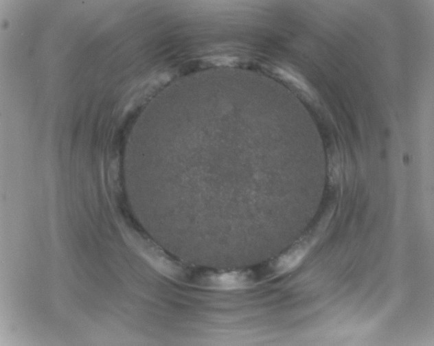 X0000070410365200606091157