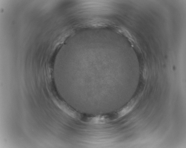 X0000070410366200606091157