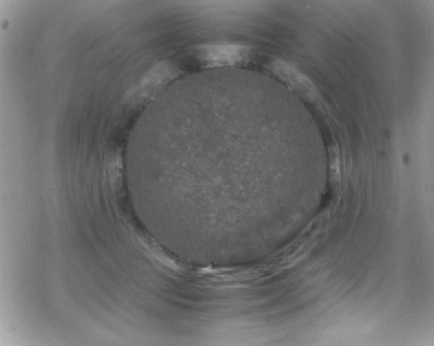 X0000070410369200606091157