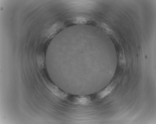 X0000070410370200606091157