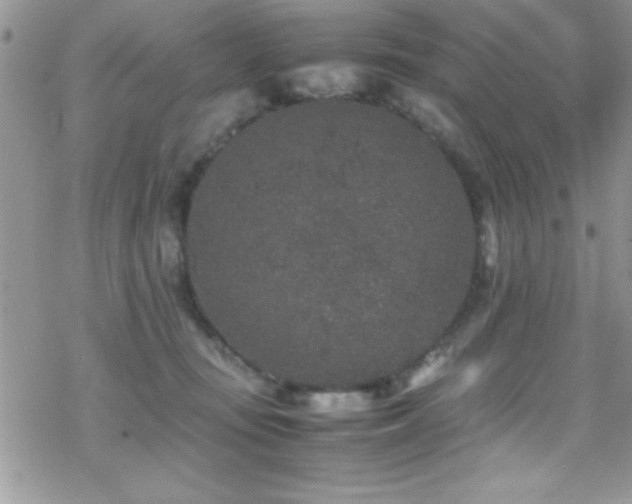 X0000070410371200606091157