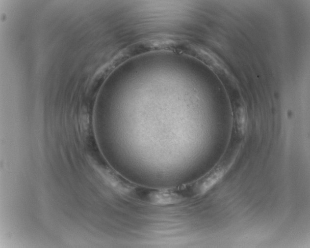 X0000070410372200606091157