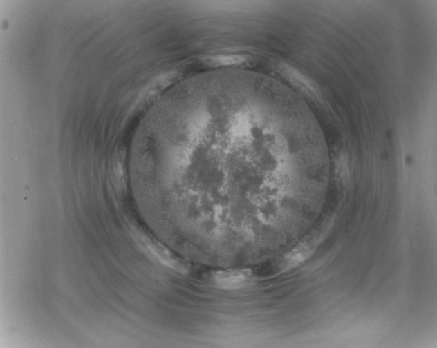 X0000070410373200606091157