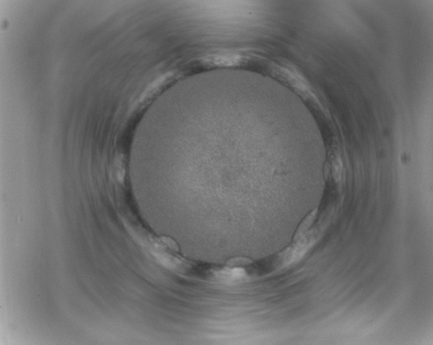 X0000070410374200606091157