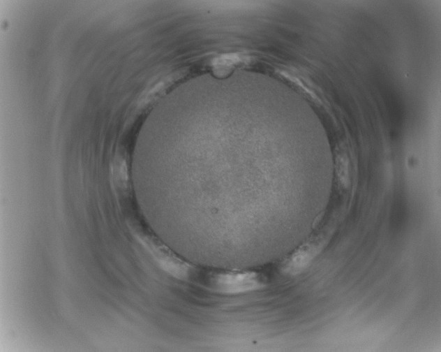 X0000070410375200606091157