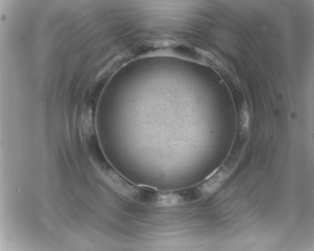 X0000070410376200606091157