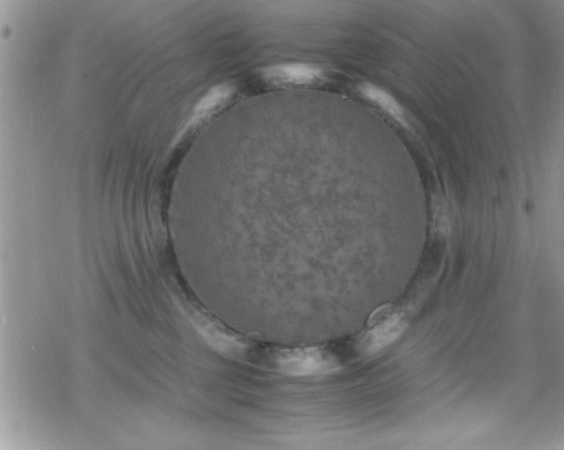 X0000070410377200606091157