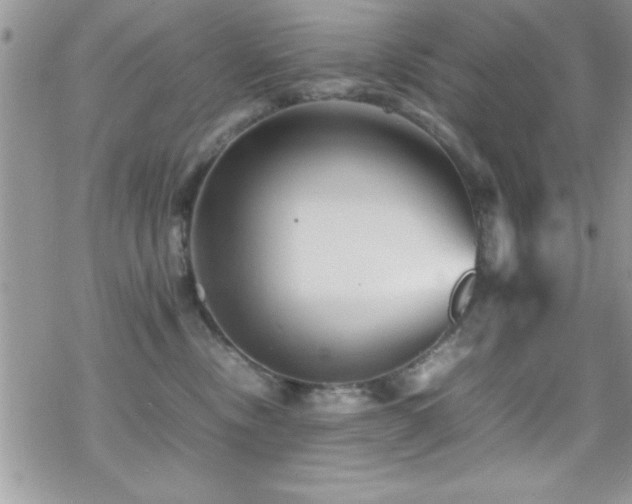 X0000070410378200606091157