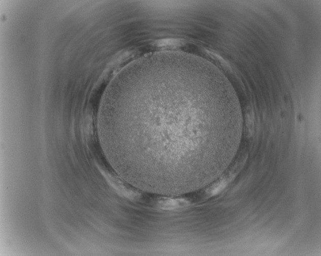 X0000070410379200606091157