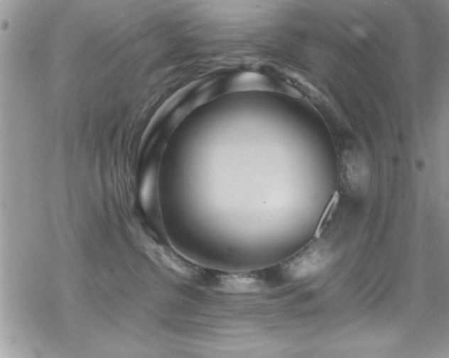 X0000070410380200606091157