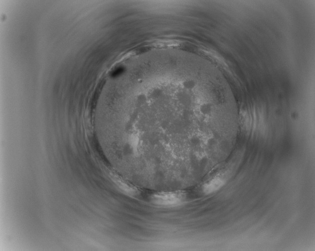 X0000070410381200606091157