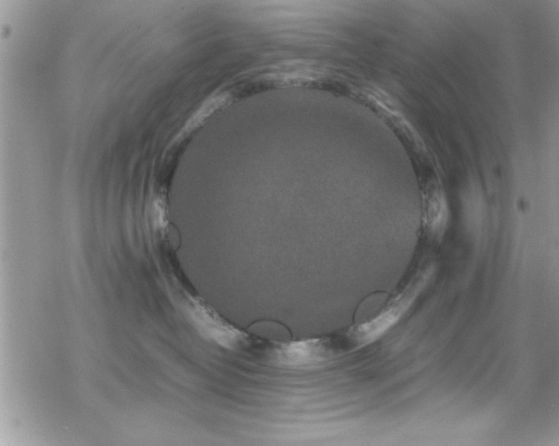 X0000070410382200606091157