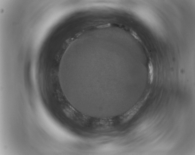 X0000070410383200606091157