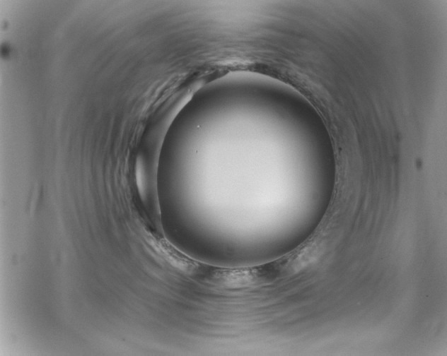 X0000070410384200606091157