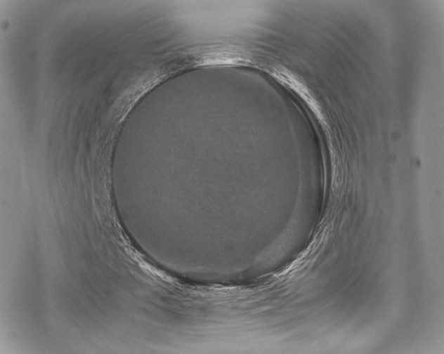 X0000070410385200606091157