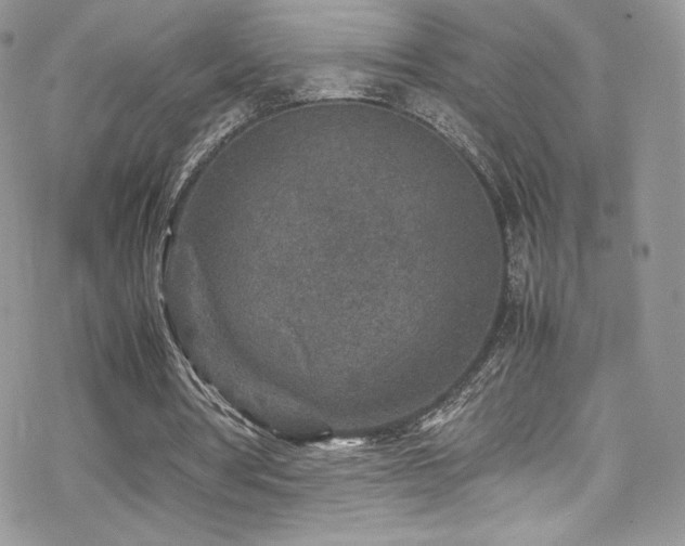 X0000070410386200606091157