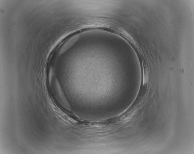 X0000070410387200606091157