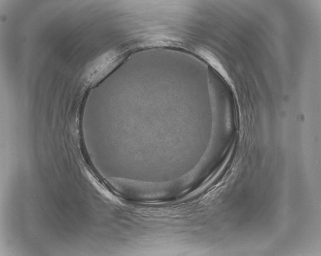 X0000070410389200606091157