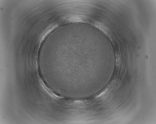 X0000070410390200606091157