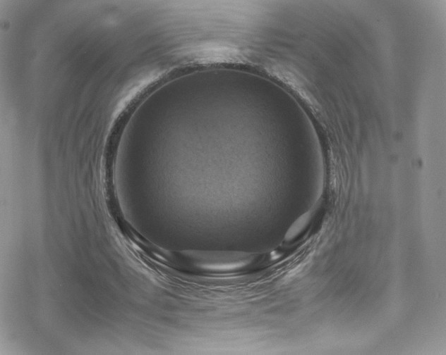 X0000070410391200606091157