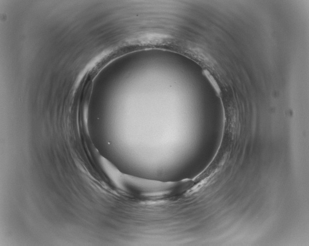 X0000070410392200606091157