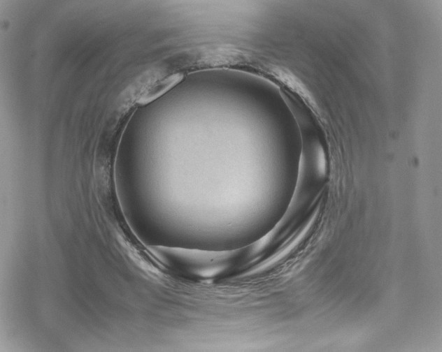 X0000070410393200606091157