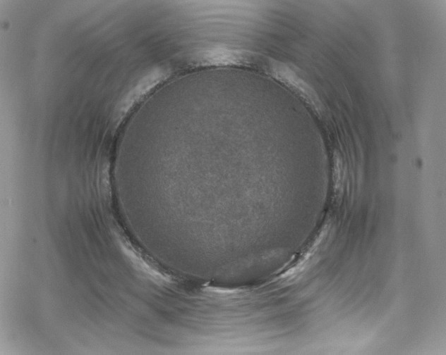 X0000070410394200606091157