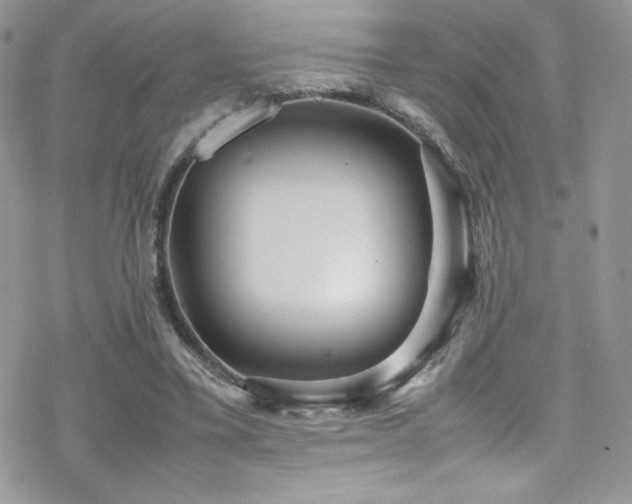 X0000070410395200606091157