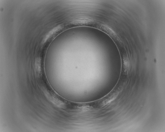 X0000070410396200606091157