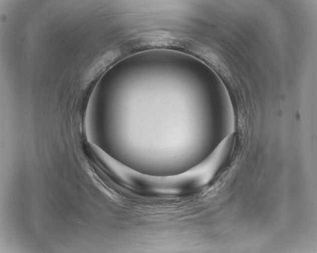 X0000070410397200606091156