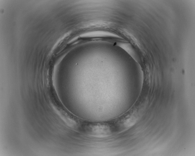 X0000070410400200606091156