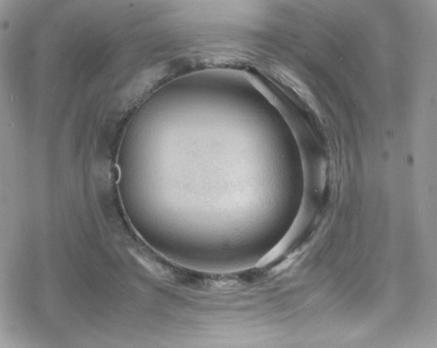 X0000070410401200606091156