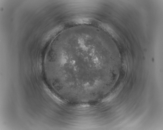 X0000070410402200606091156