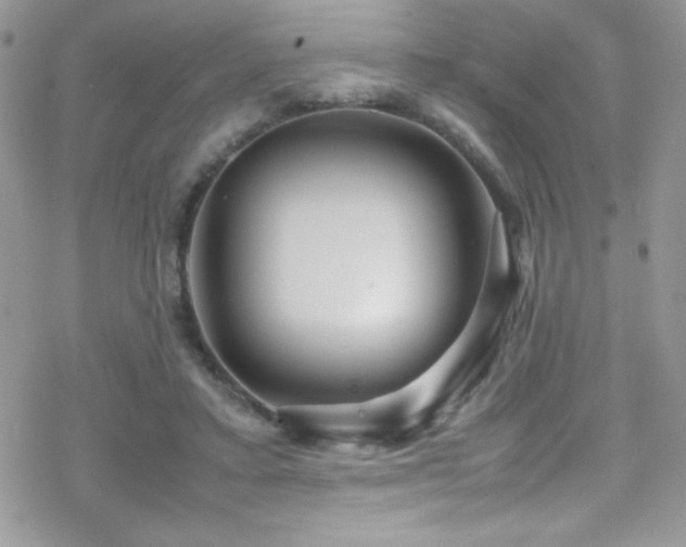 X0000070410403200606091156