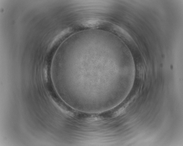 X0000070410404200606091156