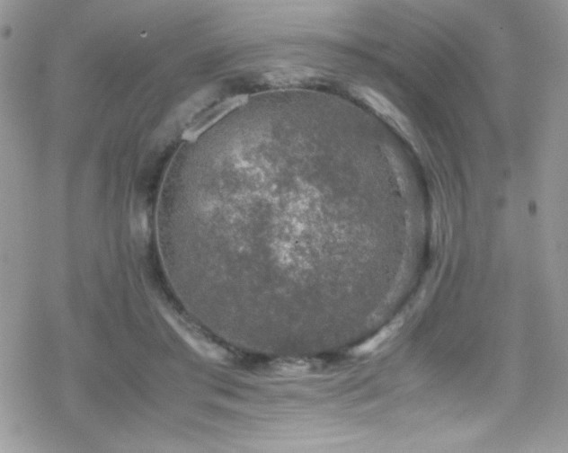 X0000070410405200606091156