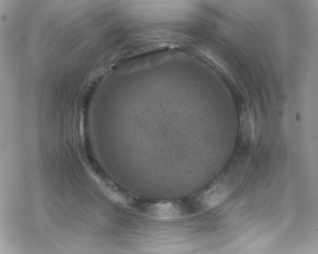 X0000070410406200606091156